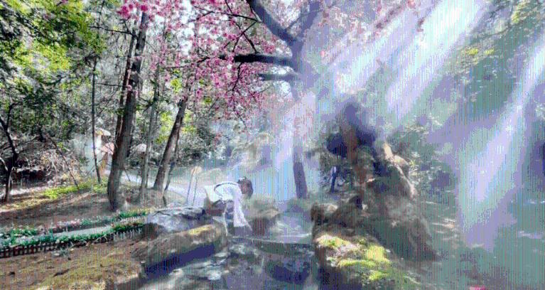 梦幻西游3D